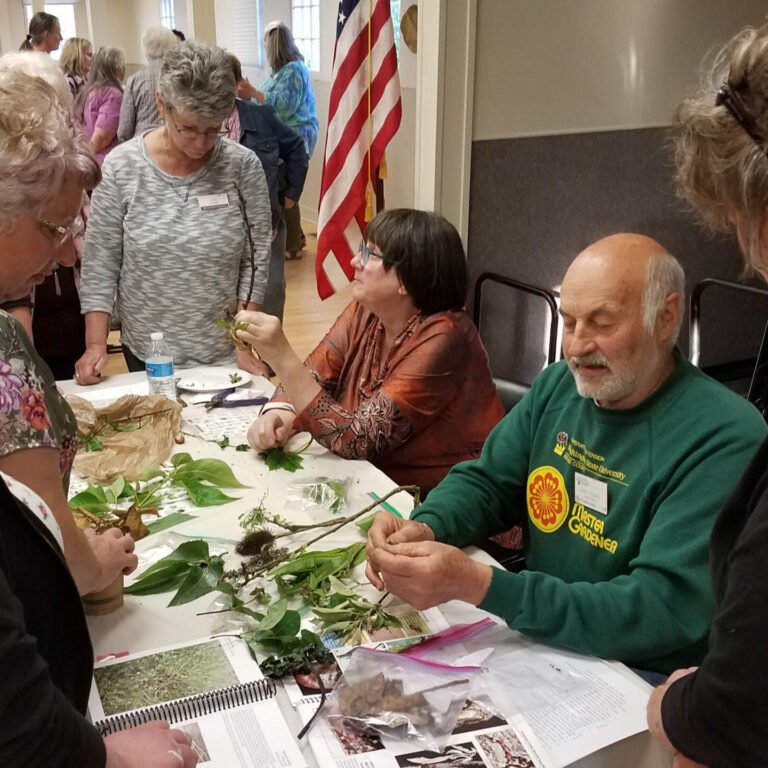 A Master Gardener plant clinic.