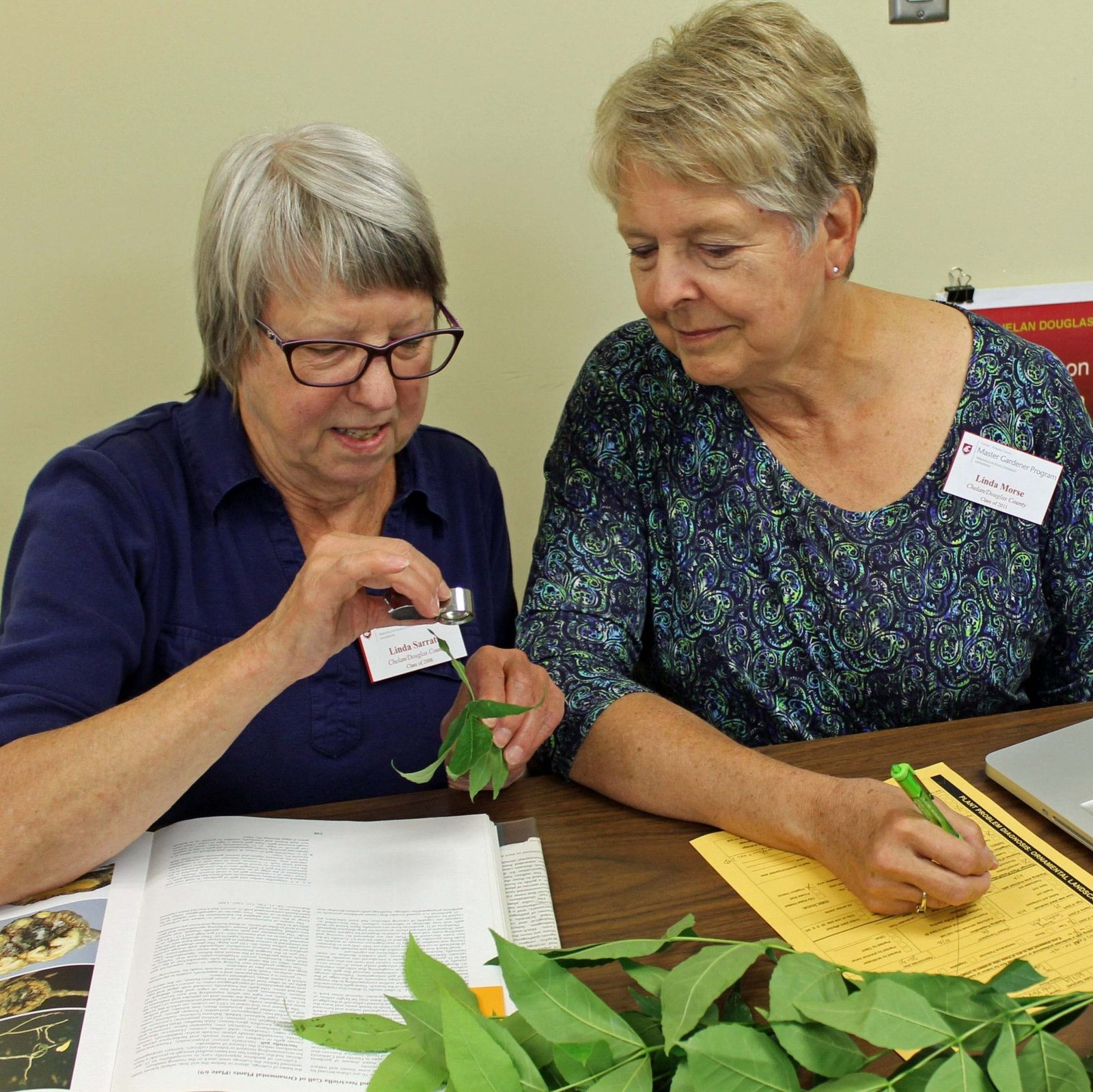 Two women examining a plant.