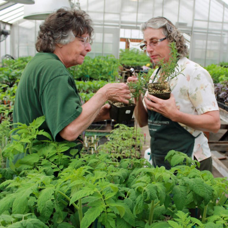 Master Gardeners checking plants for pests.