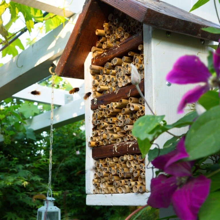 Mason bee house.