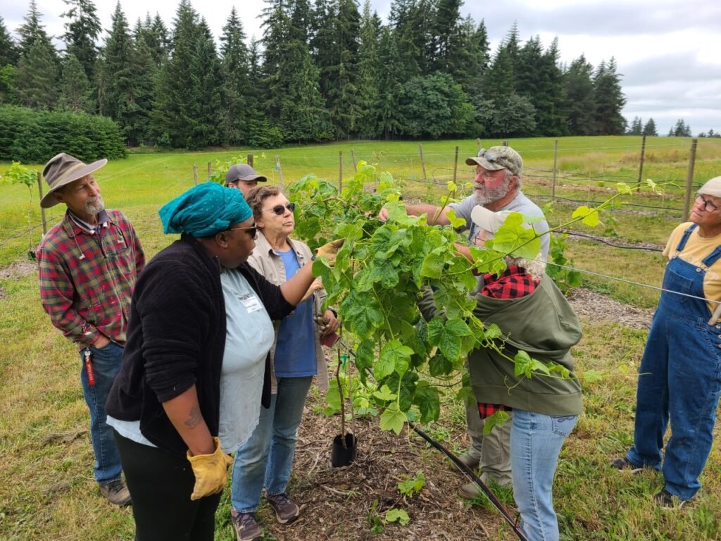 Group of people learning about grapes